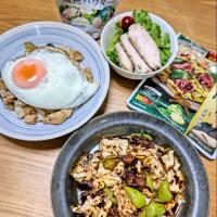 『ダイズラボ四川式回鍋肉　塩糀パウダーガパオライス　マルコメ様々　晩ごはん』